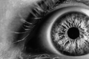 pixabay close up eye eye lashes iris pupil retina monochrome